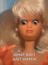 a barbie doll with a surprised look on her face and the words what did i just watch