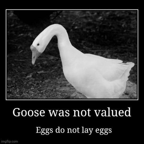 Demotivational poster of a sad goose hanging its head with the text "Goose was not valued" and "Eggs do not lay eggs"